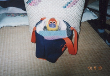 2001.5.20.sRS-S.JPG (45507 oCg)
