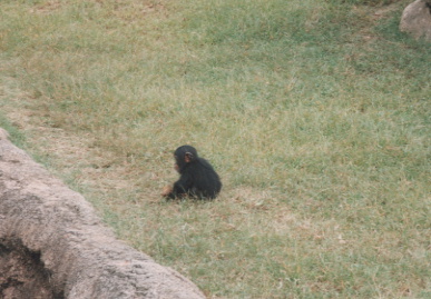 2002.10.8.doubutuen-yumi-6.jpg (58147 バイト)