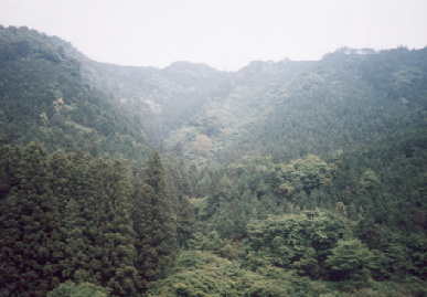 2002.5.23.shitara2.JPG (50801 バイト)