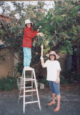 2002.6.7.biwa5.JPG (65506 バイト)