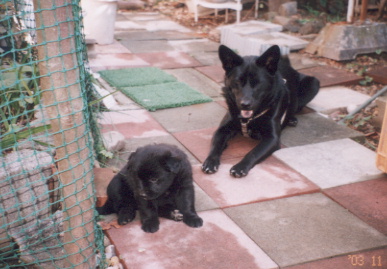 2003.12.kumako.yumi-1.jpg (58090 バイト)