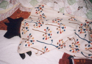 2003.12.kumako.yumi-4.jpg (52047 バイト)