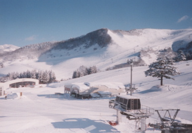 2003.2.3.akita.yumi-9'.jpg (39313 バイト)