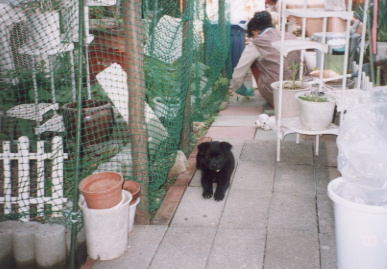 2003.4.10.kumako.yumi-12.jpg (61292 oCg)