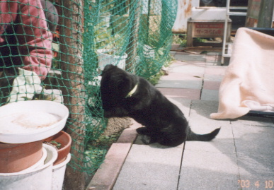 2003.4.10.kumako.yumi-4.jpg (60448 oCg)