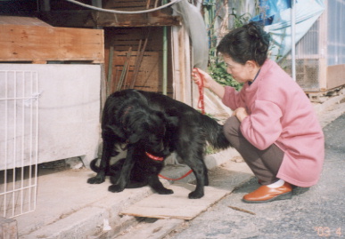 2003.4.10.kumako.yumi-5.jpg (53380 oCg)