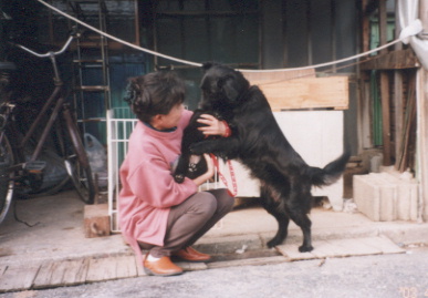 2003.4.10.kumako.yumi-7.jpg (48960 oCg)