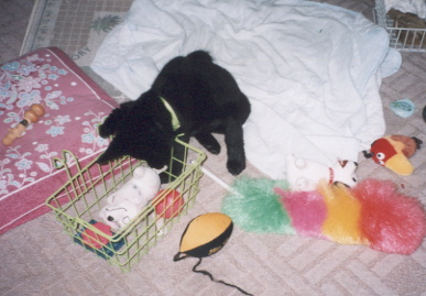 2003.5.13.kumako.yumi-2.jpg (53139 バイト)