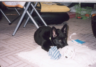 2003.5.13.kumako.yumi-3.jpg (48838 バイト)