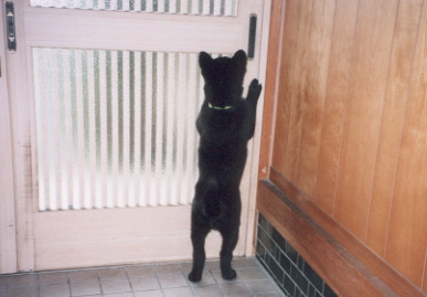 2003.5.13.kumako.yumi-4.jpg (40381 バイト)