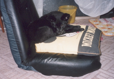 2003.5.18.kumako.yumi-1.jpg (48078 バイト)