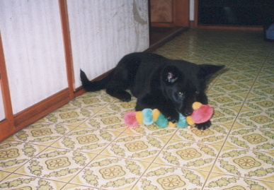 2003.5.20.kumako.yumi-2.jpg (58042 バイト)