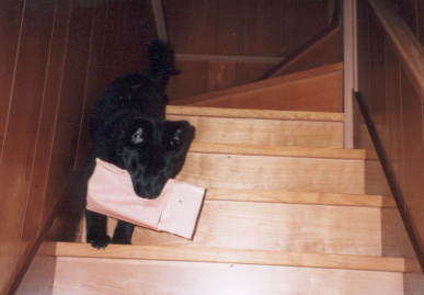 2003.5.22.kumako.yumi-4.jpg (40559 バイト)