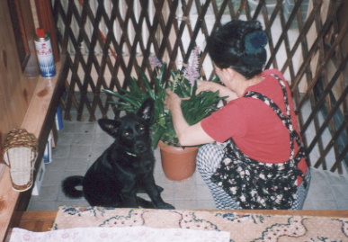 2003.6.7.kumako.yumi-7.jpg (60625 バイト)