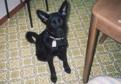2003.7.1.kumako.yumi-3.jpg (64224 バイト)