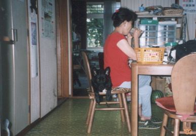 2003.7.19.kumako.yumi-1.jpg (51098 バイト)