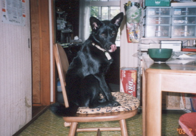 2003.7.19.kumako.yumi-2.jpg (53597 バイト)