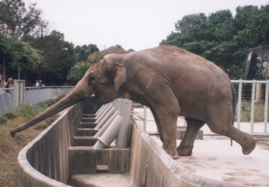 2003.9.23.doubutsuen-4.jpg (49535 バイト)