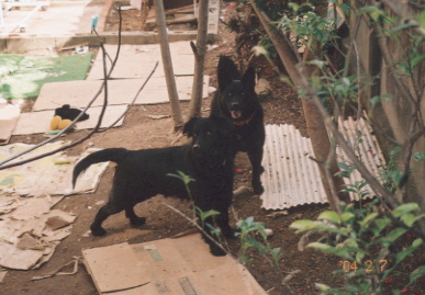 2004.2.7.kumako.yumi-1.jpg (60518 バイト)